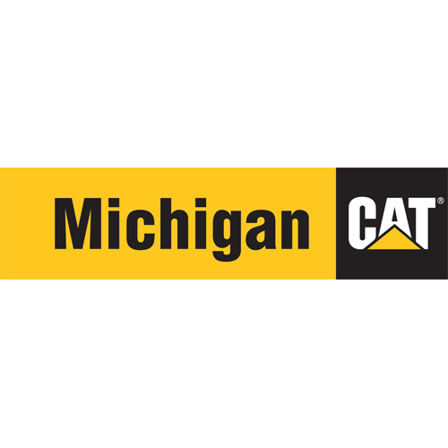 Michigan Cat