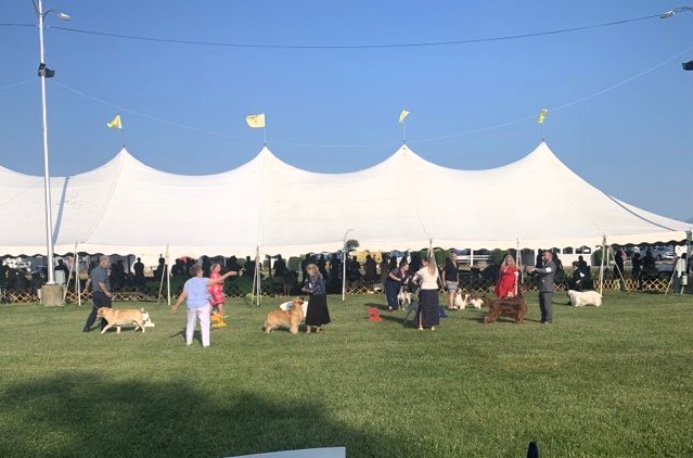 Ann Arbor Kennel Club Dog Show